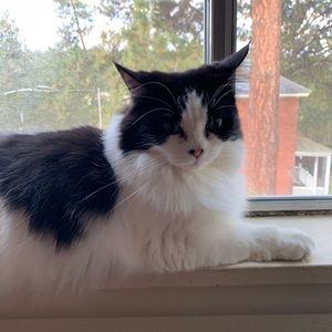 Meet your Posher, Theresa